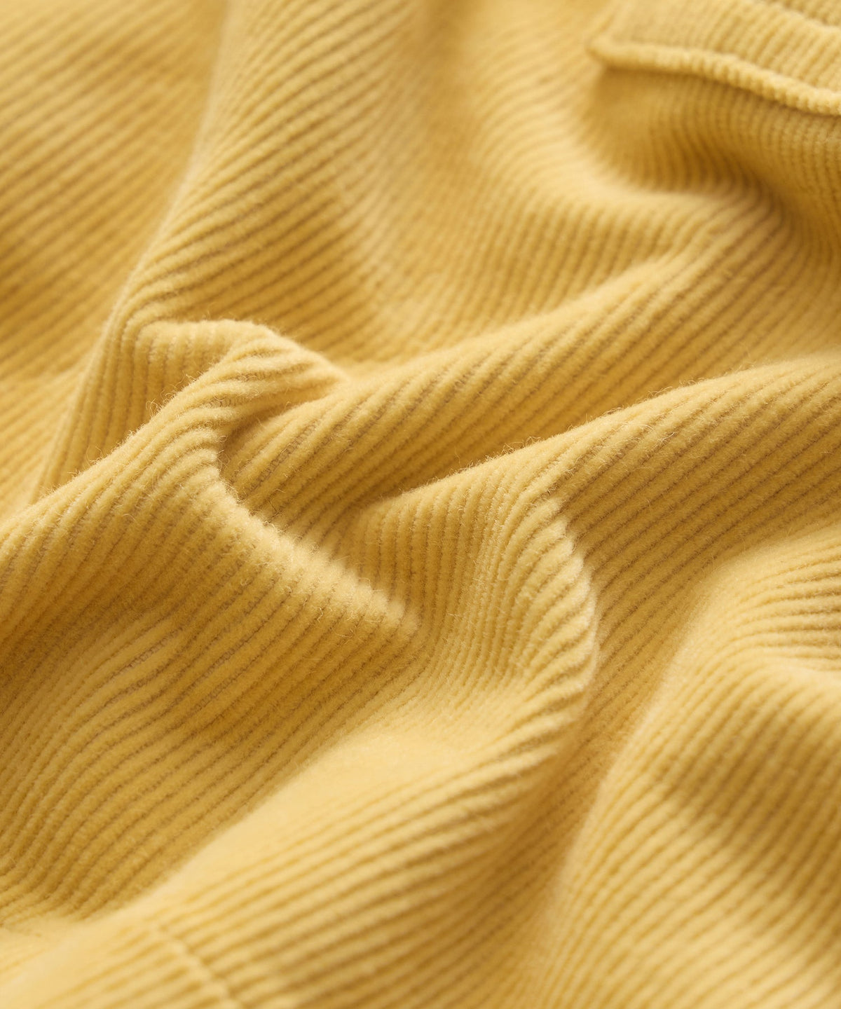 7" Corduroy Camp Short - Craspedia