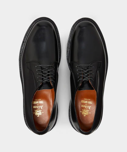 Alden All-Weather Walker Blucher - Black