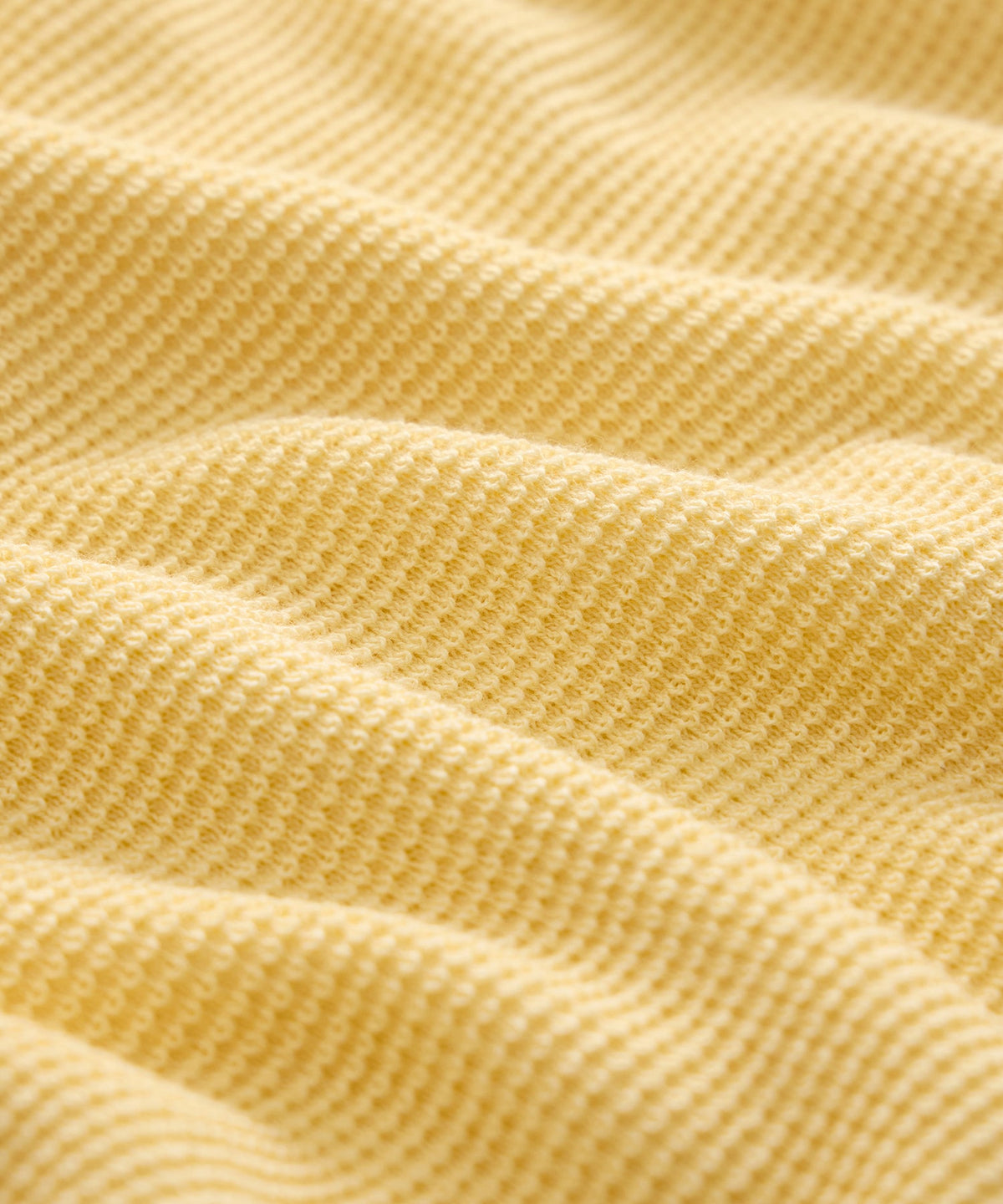 Vista Crewneck Sweater - Sun Soaked