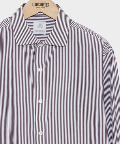 Spread Collar Poplin Dress Shirt - Brown